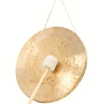 Avis et Test : Asian Sound Tamtam SGL-45 P