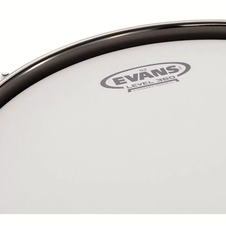Avis & Test : DR Customs Shell Set Ebony